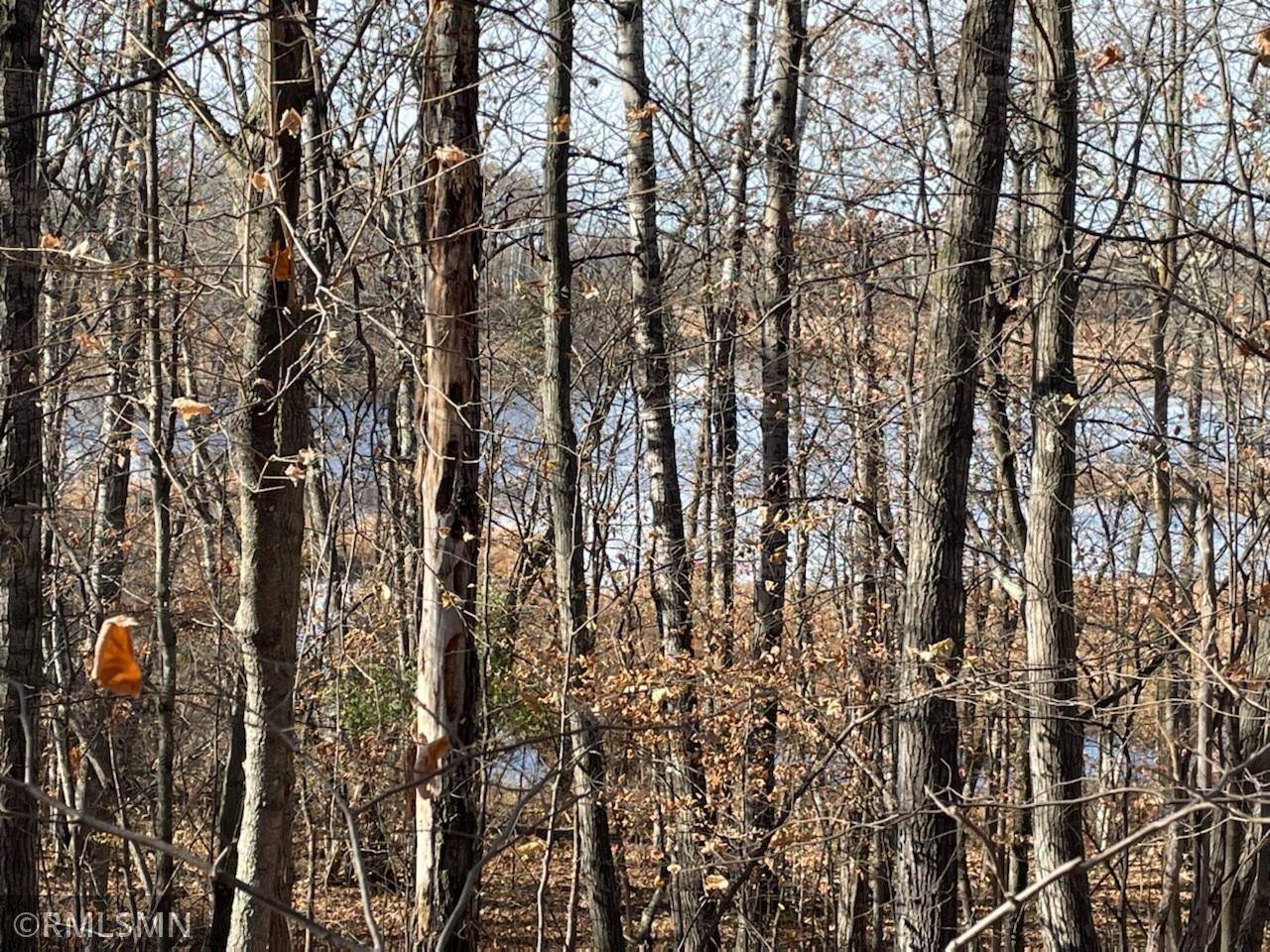 Aitkin Twp, MN 56431,010087401 Deer ST