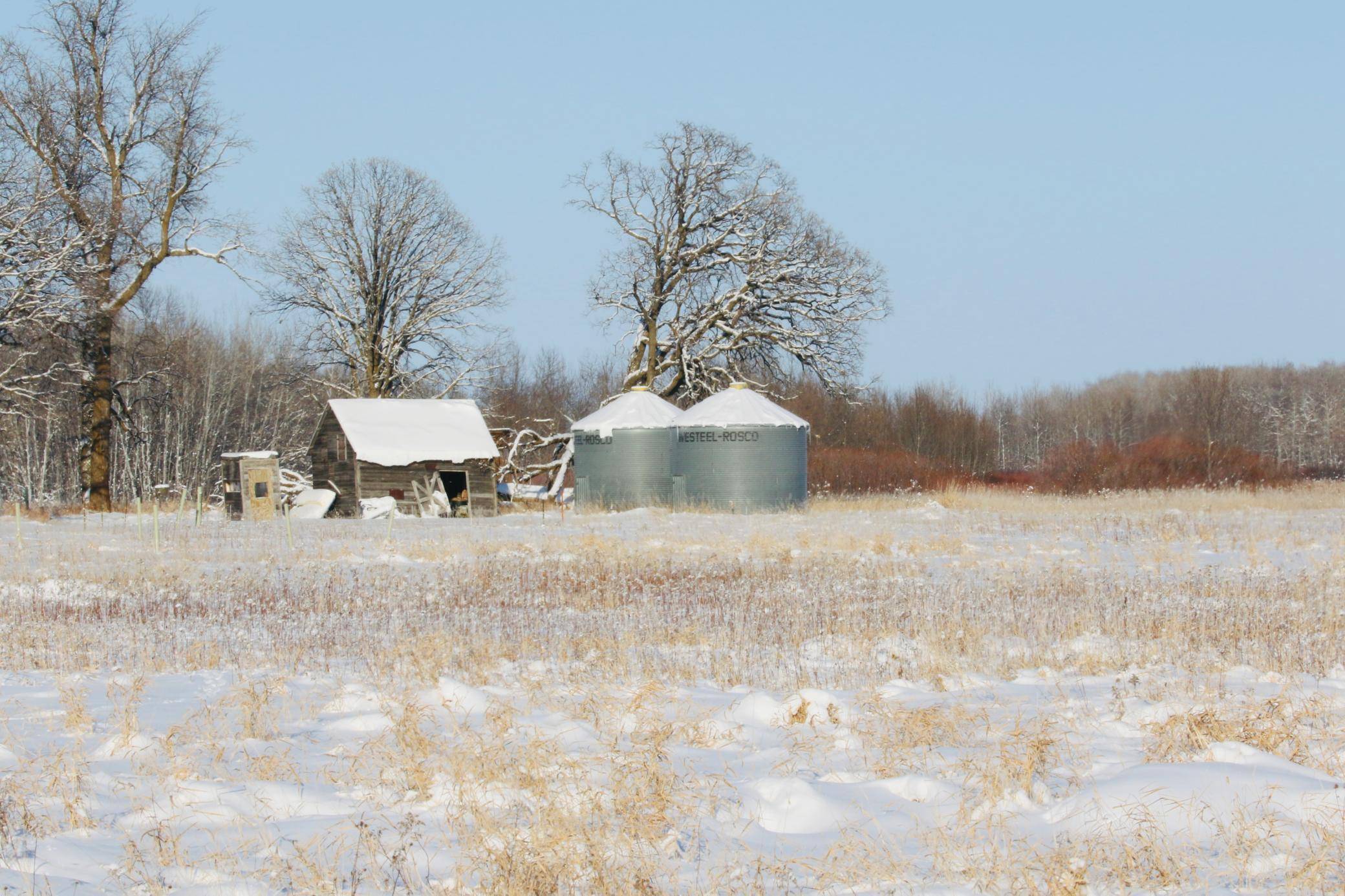 Kratka Twp, MN 56701,xxxxx NE 120th