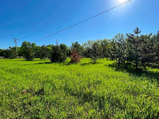 Grand Rapids, MN 55744,TBD Irene RD