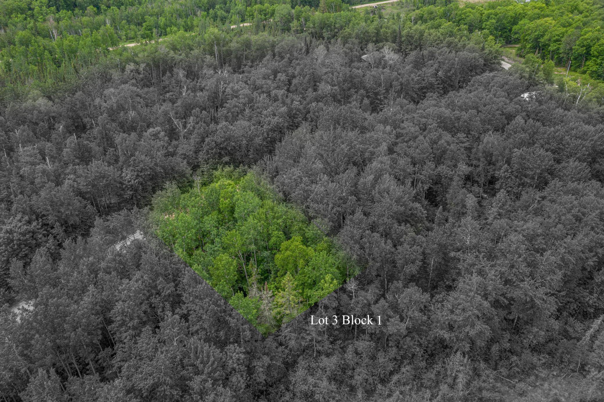 Deer River, MN 56636,TBD 0130 Woodland Drive