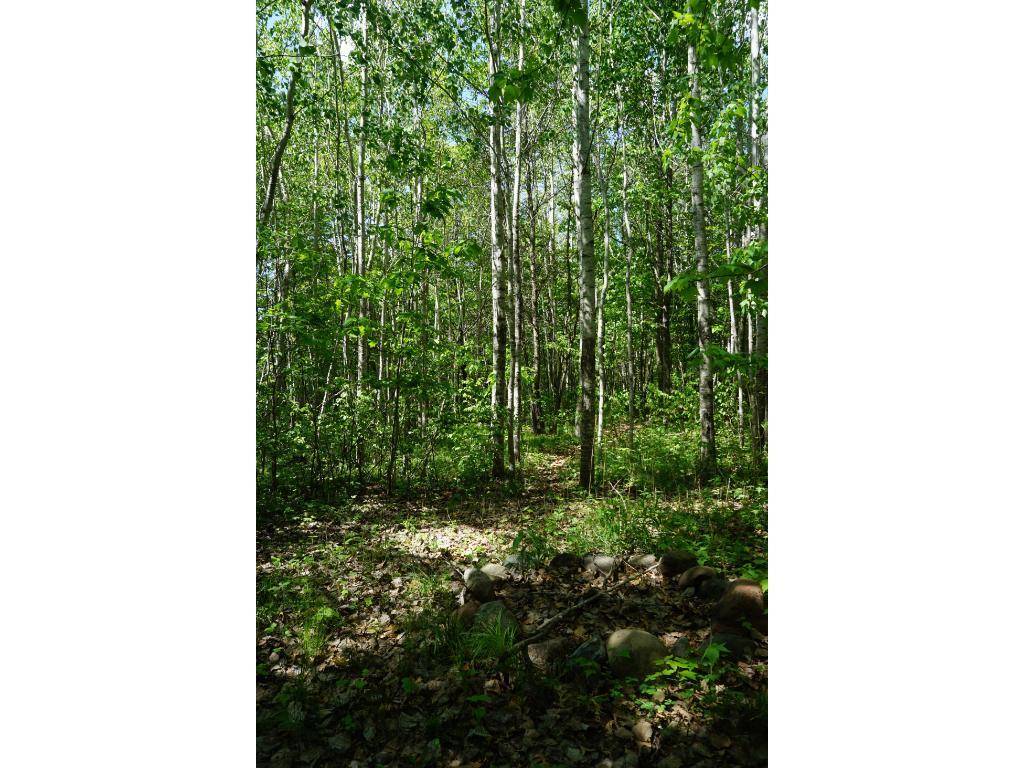 Brainerd, MN 56401,Lot 3 Blk 4 Black Bear Trail