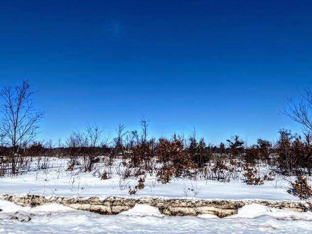 Cameron, WI 54822,TBD 24th ST