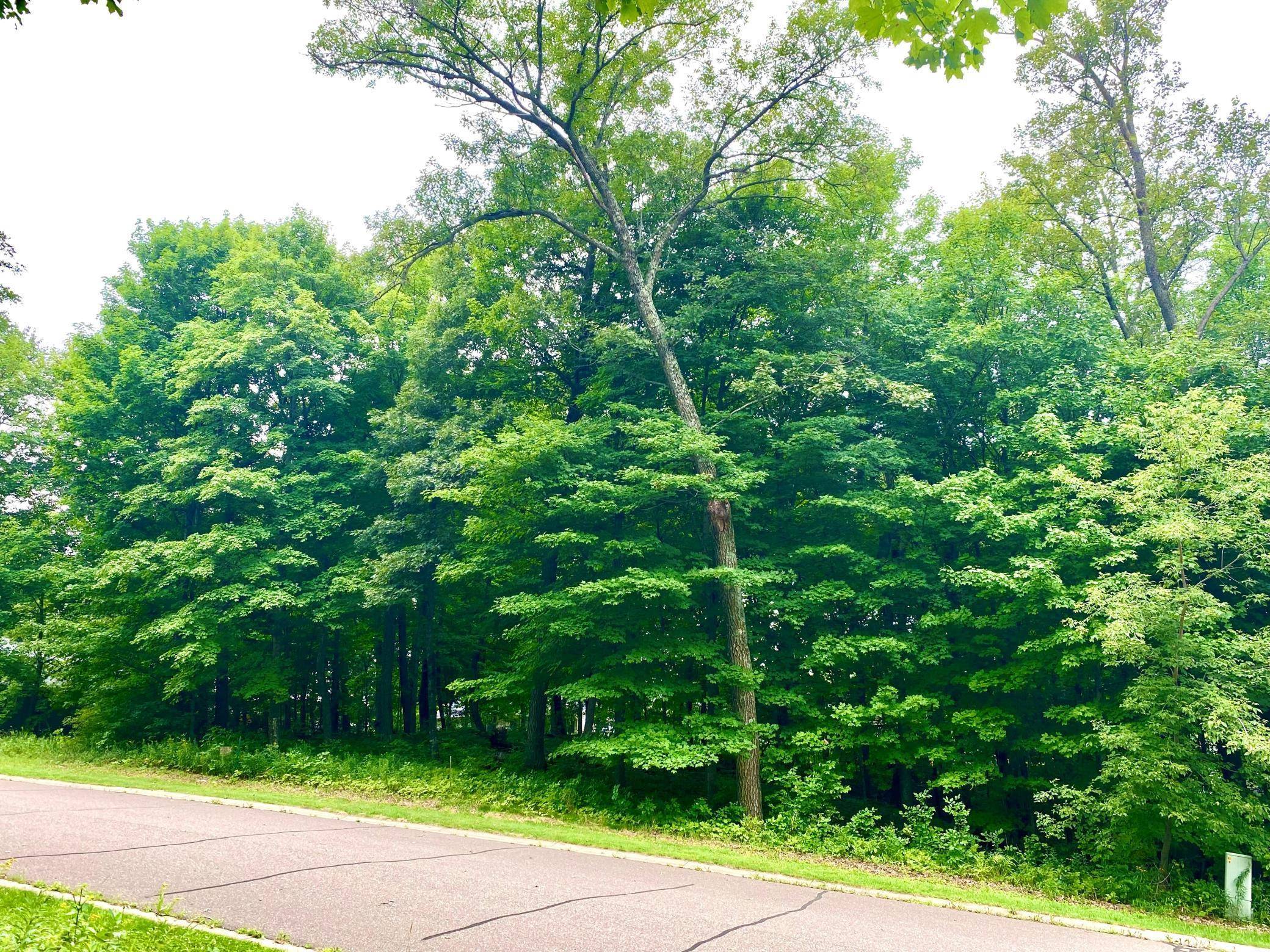 Balsam Lake, WI 54810,Lot 12 Royal Oaks DR