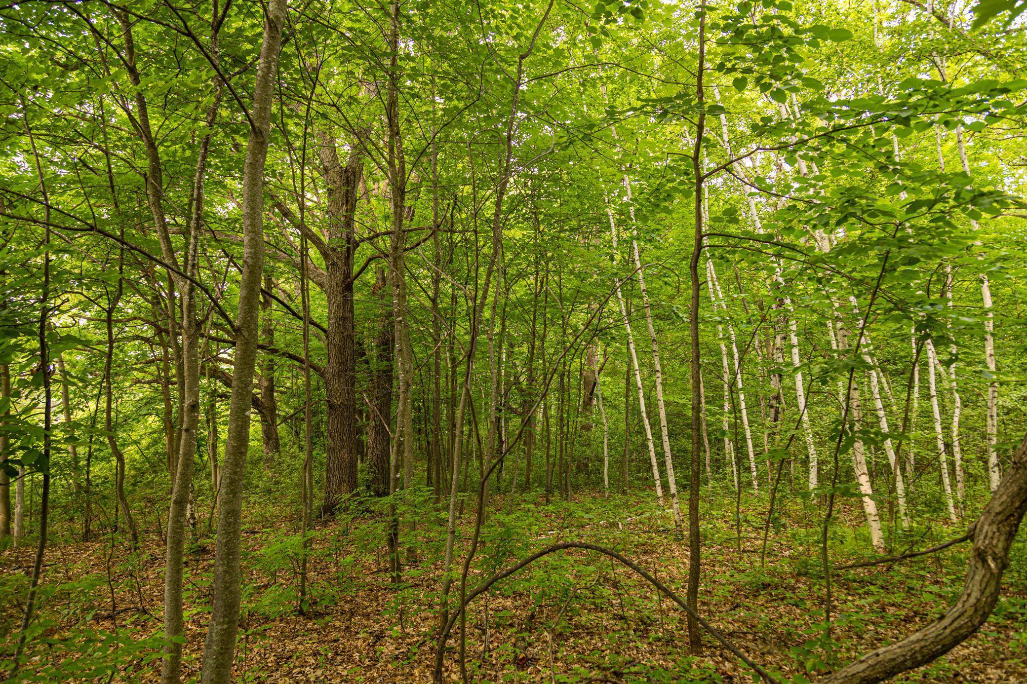 Pokegama Twp, MN 55063,Block 1, Lot 6 Mid-River EST