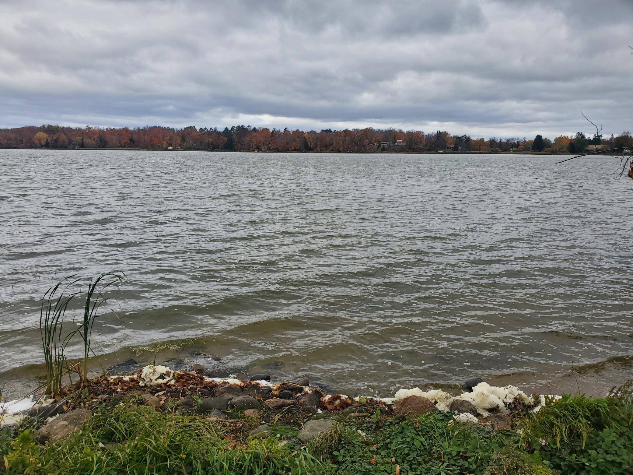 Fleming Twp, MN 56431,42521 Nature AVE