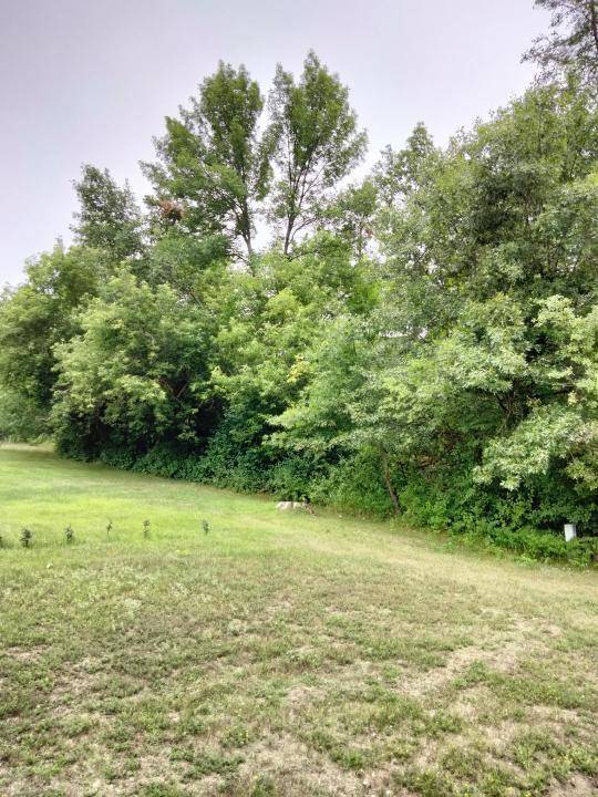 Arthur Twp, MN 55051,0 S Brookview DR