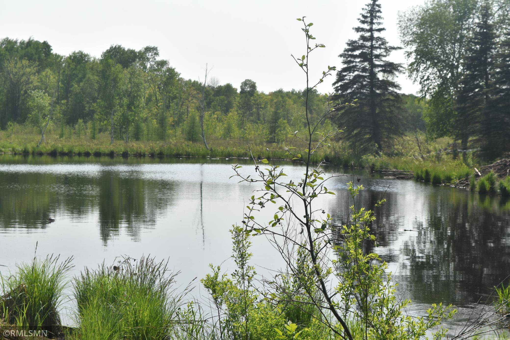 Hinckley, MN 55037,33469 Pine Cone