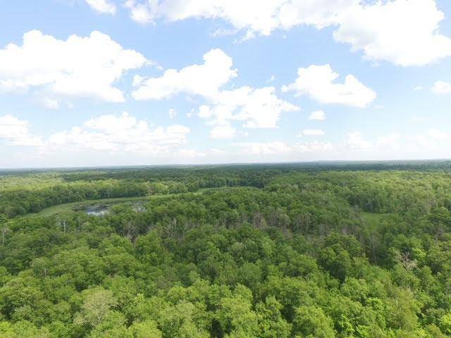 Boy River, MN 56672,TBD Eagle Claw LN NE