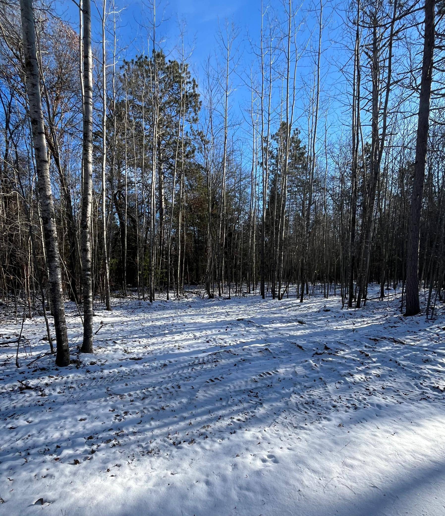 Webb Lake, WI 54830,xxxx Kielkucki Trail Lot 2