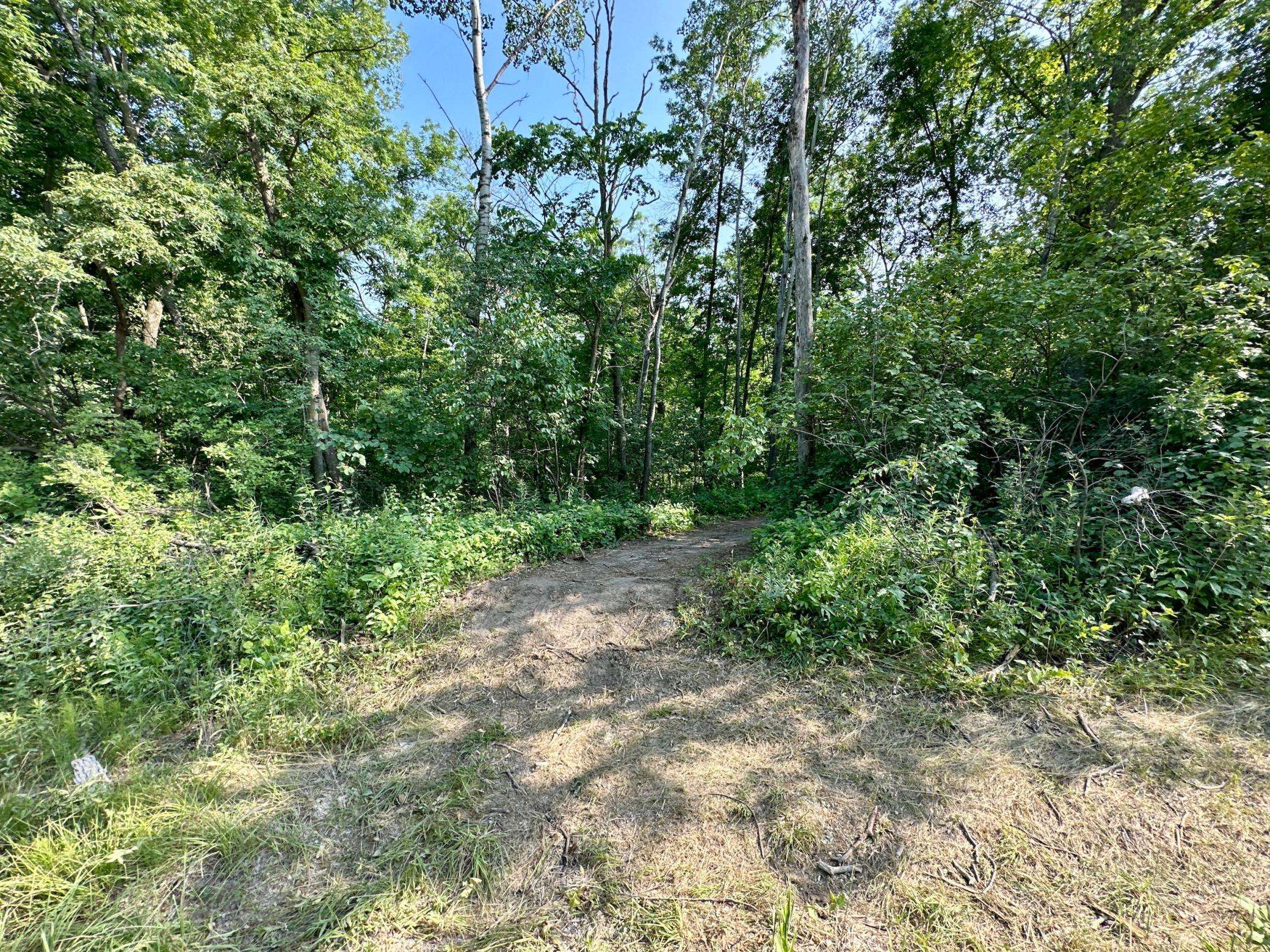 Amherst Twp, MN 55949,xxxx County 21