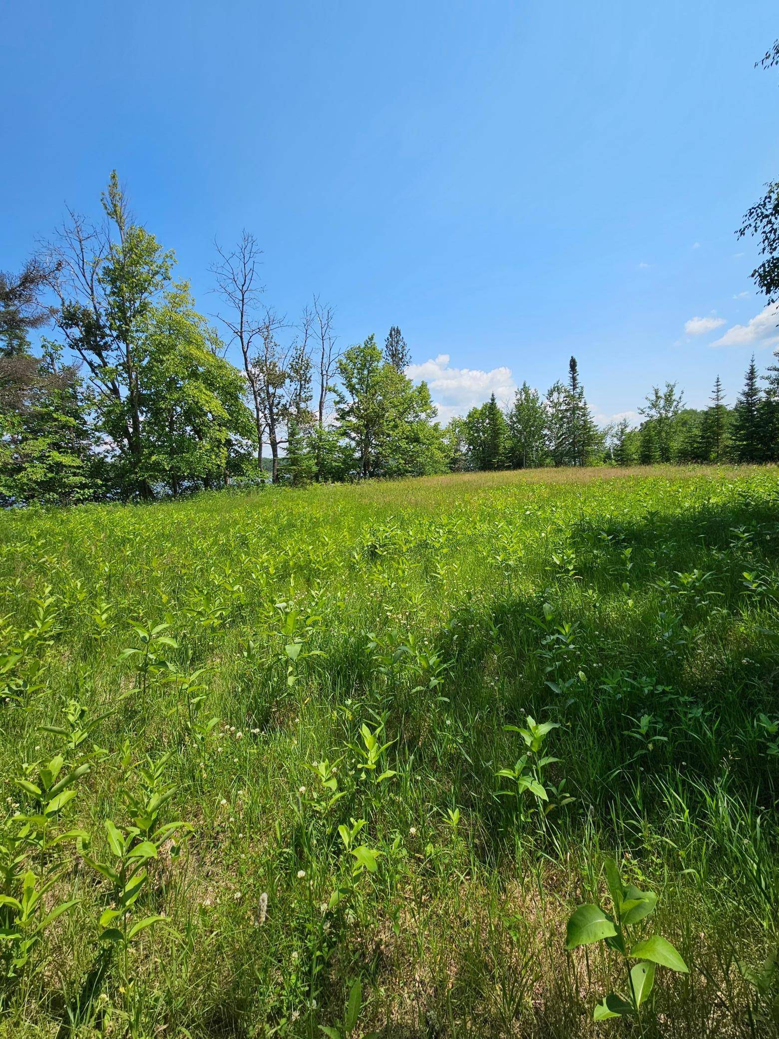 Baudette, MN 56623,lot3 Hooper Creek Loop