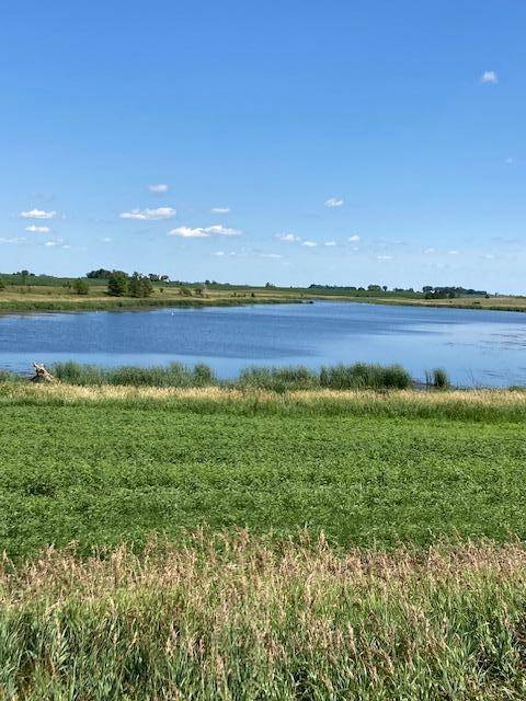 Alberta, MN 56207,XXX 540th AVE