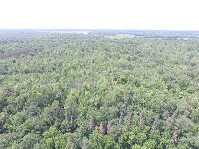 Isle, MN 56342,33xx Mahogany ST