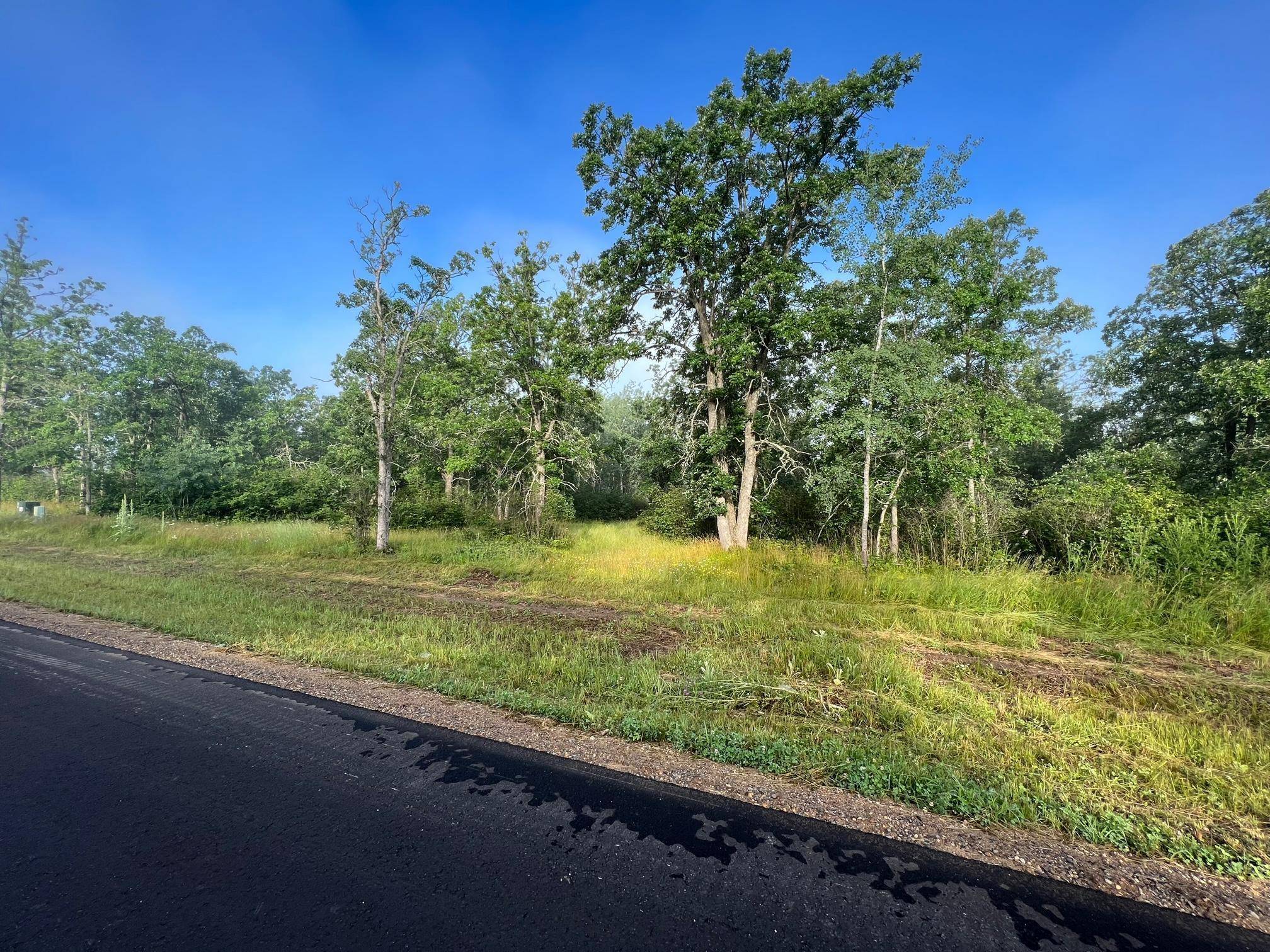 Bemidji, MN 56601,L24B1 Acorn Ridge RD NW