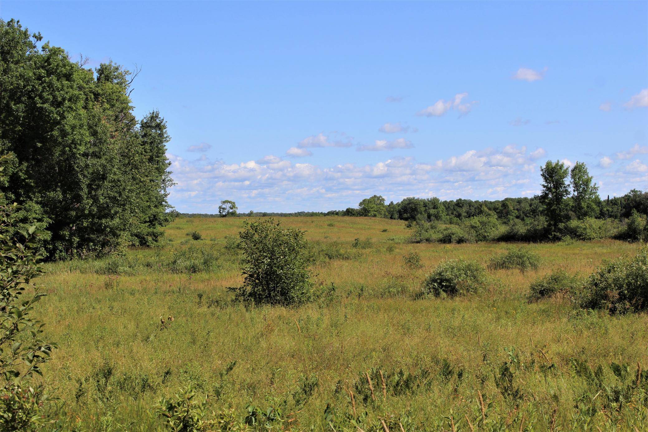Willow River, MN 55795,16991 Rocky RD