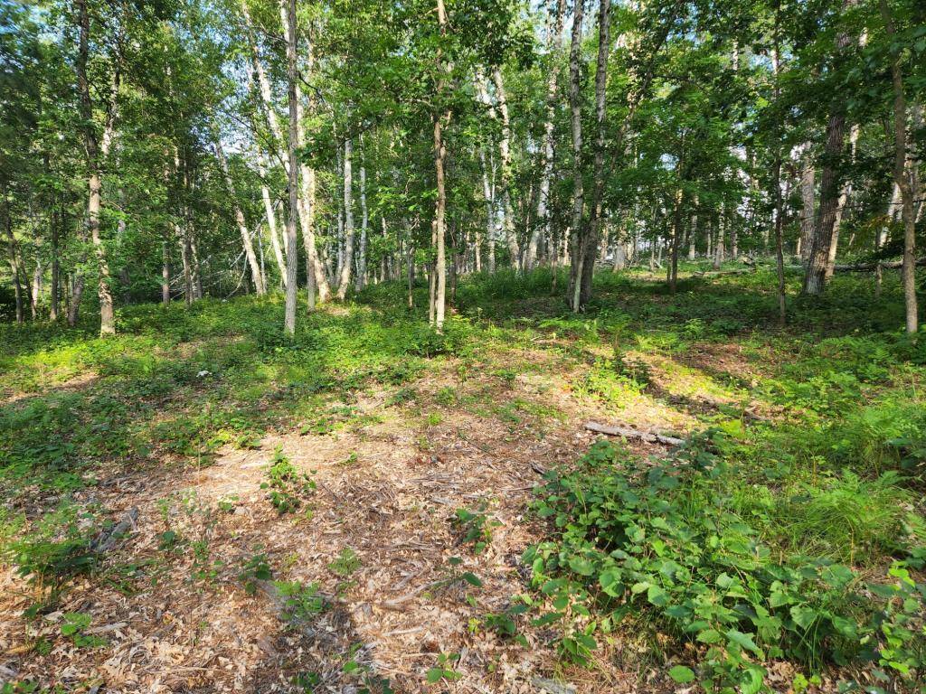 Breezy Point, MN 56472,TBD Suffolk DR