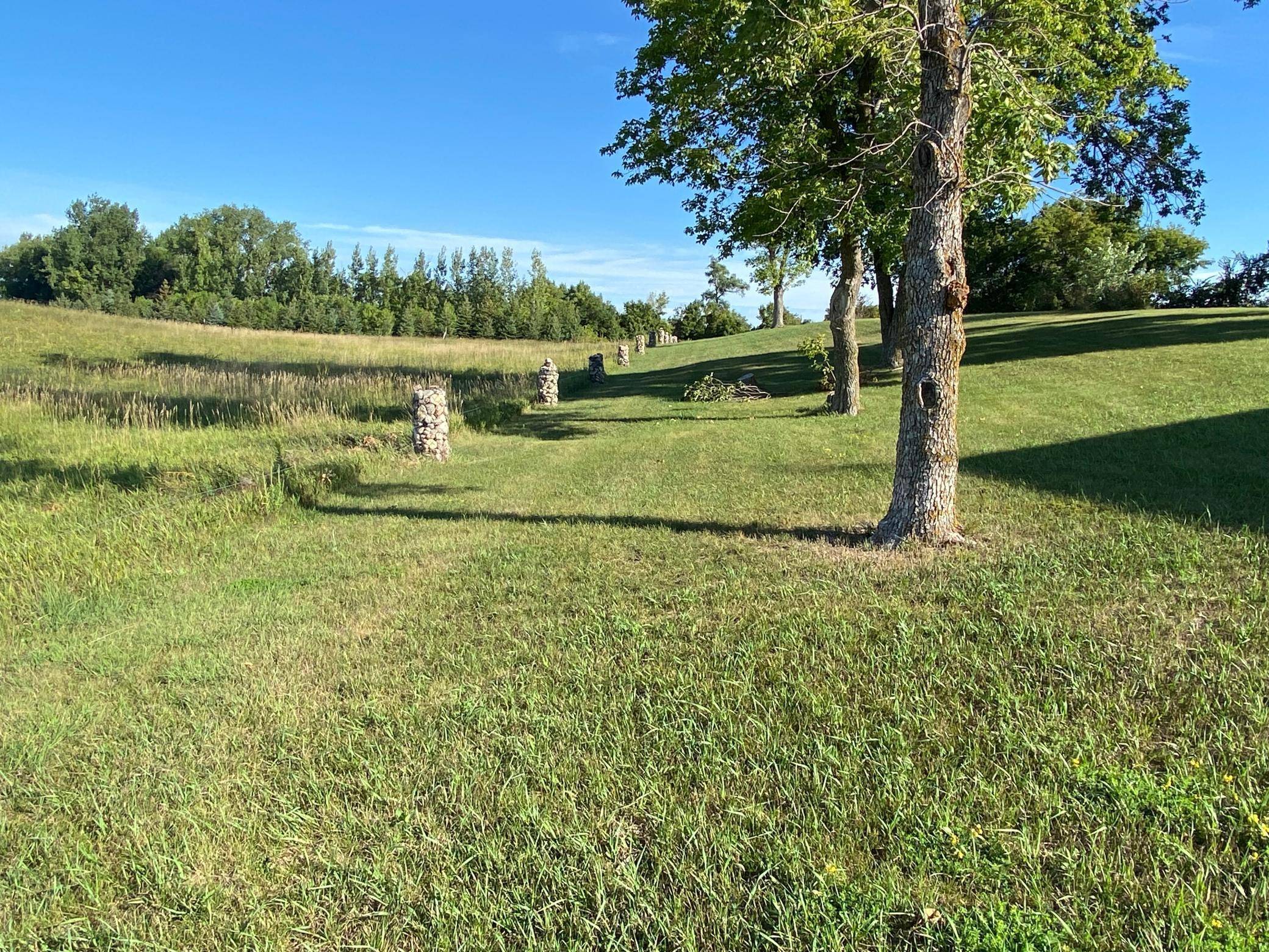 Langhei Twp, MN 56215,325 Street