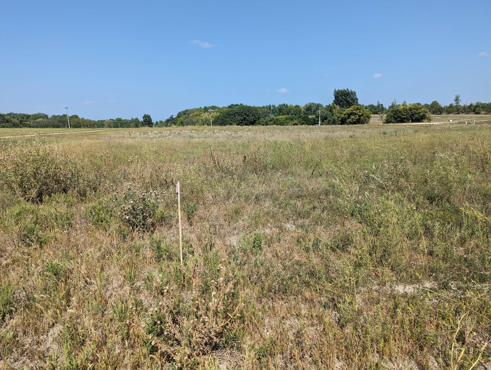 Ida Twp, MN 56308,3262 County Road 61 NW
