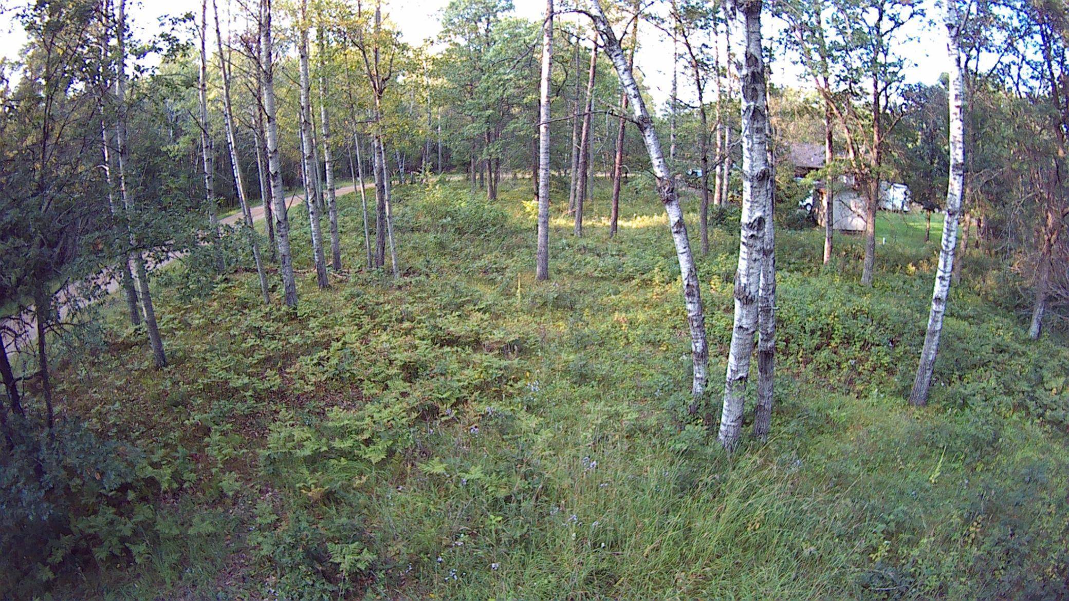 Breezy Point, MN 56472,TBD Cedar St.