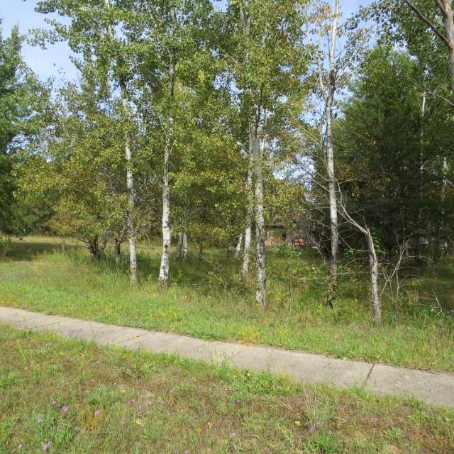 Babbitt, MN 55706,26 Mulberry LN