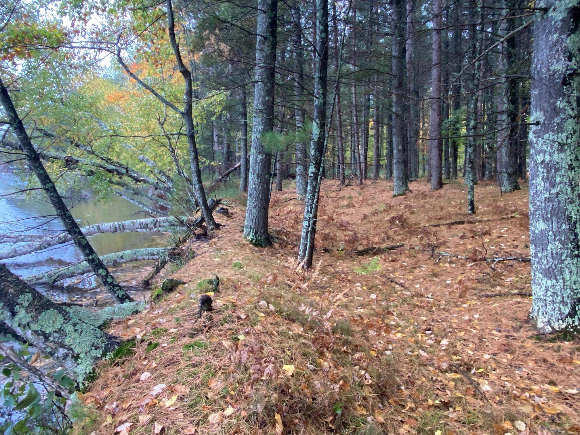 Barnes, WI 54838,Lot 4 River RD