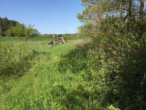 Cannon Falls, MN 55009,xxx County Road 24 & 63rd Ave