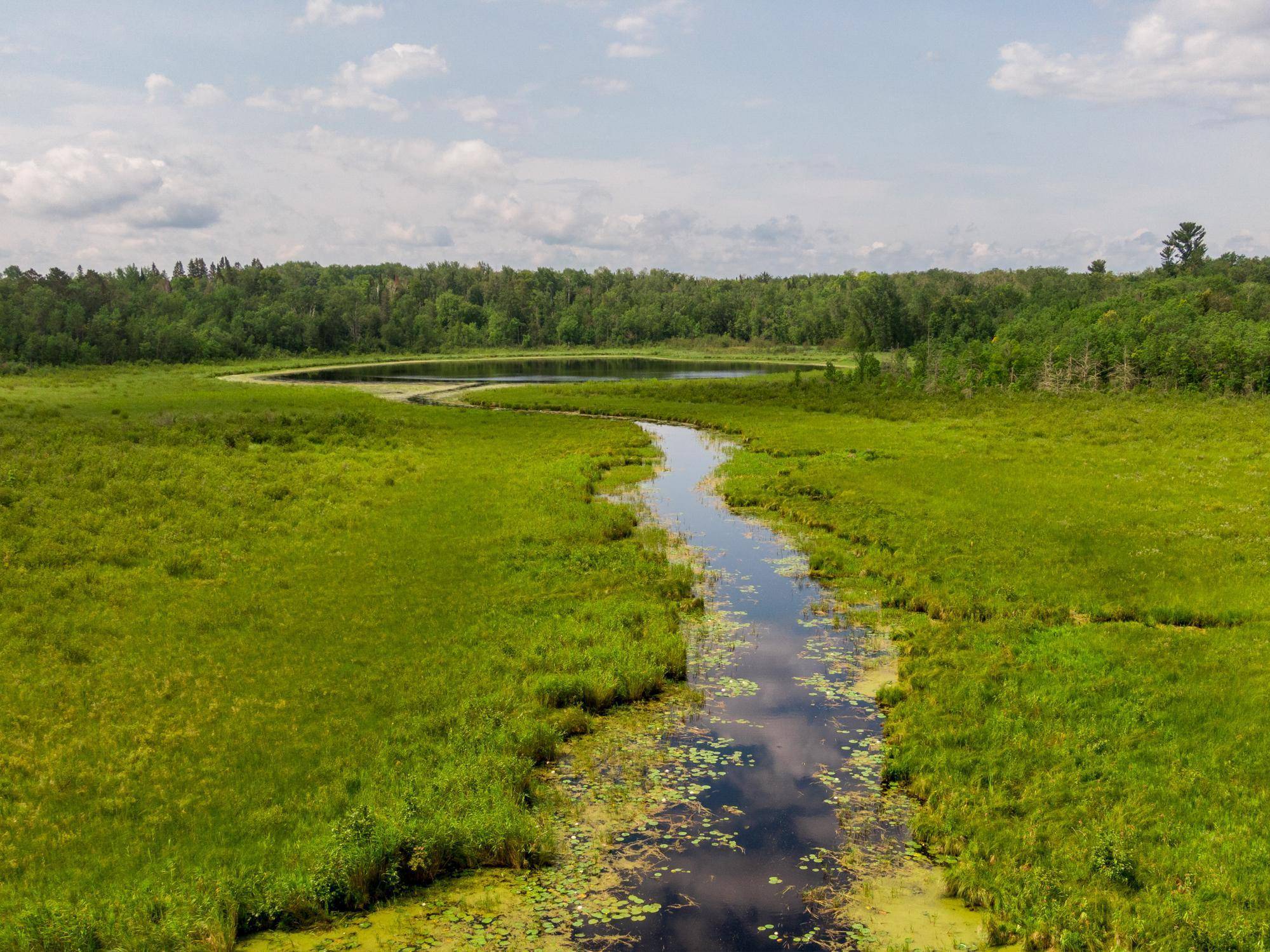 Longville, MN 56655,TBD Wabedo PASS NE