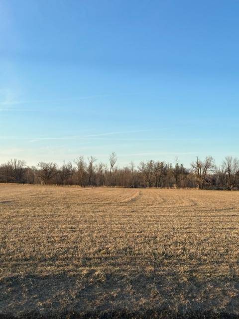 Rocksbury Twp, MN 56701,TBD Sorteberg Drive