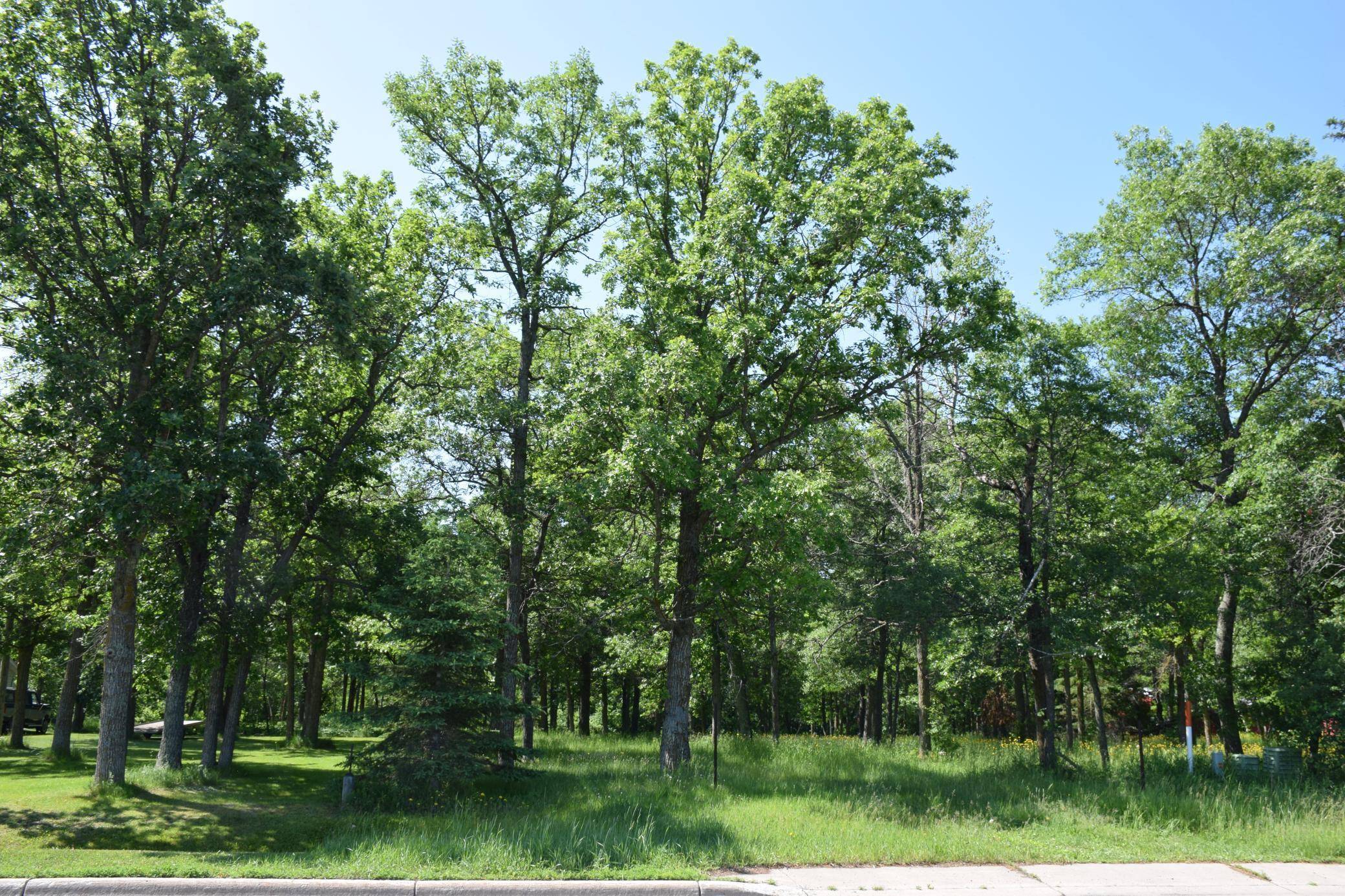 Bemidji, MN 56601,TBD Power Dam RD NE