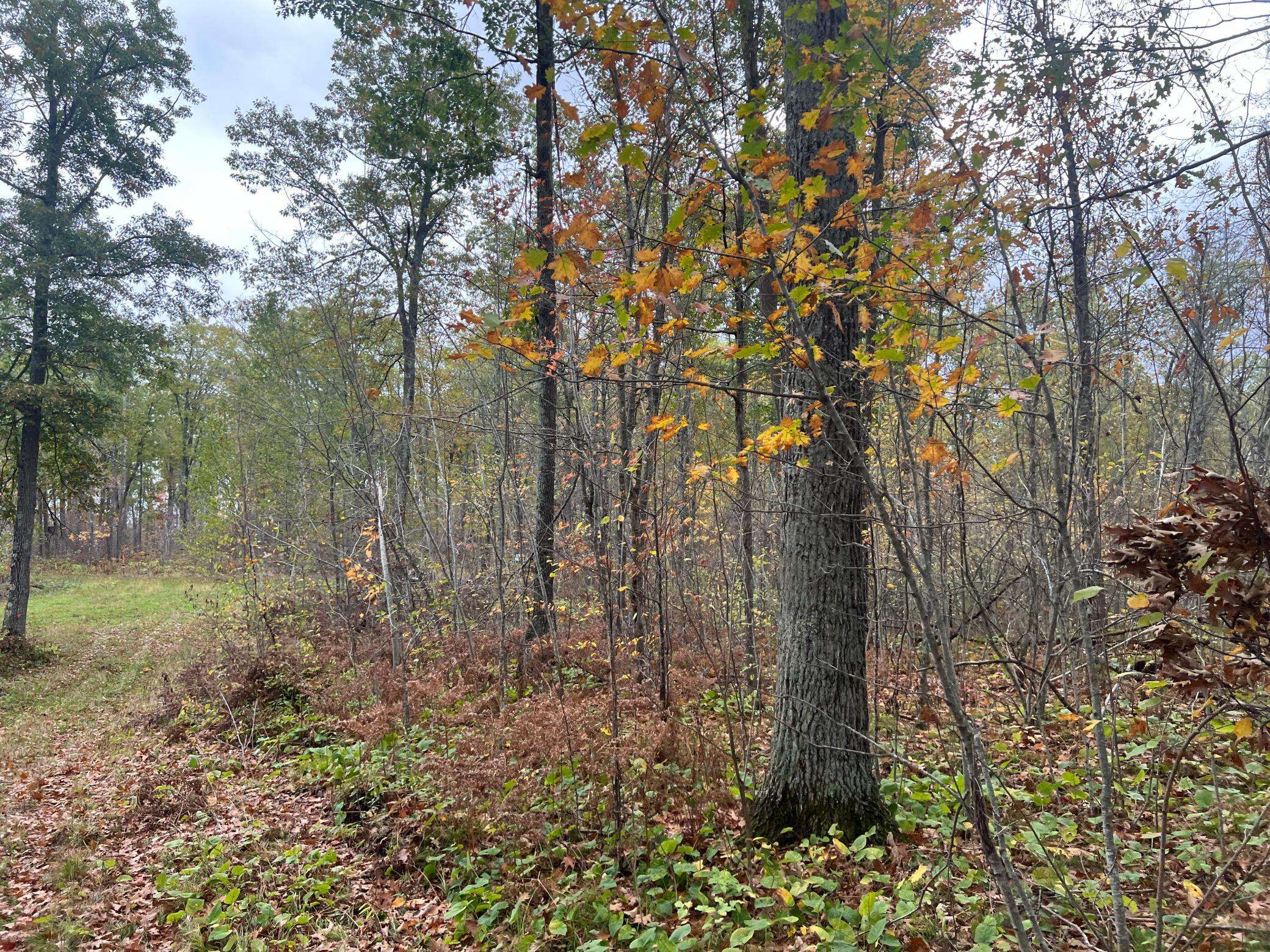 Arna Twp, MN 55072,73843 Markville