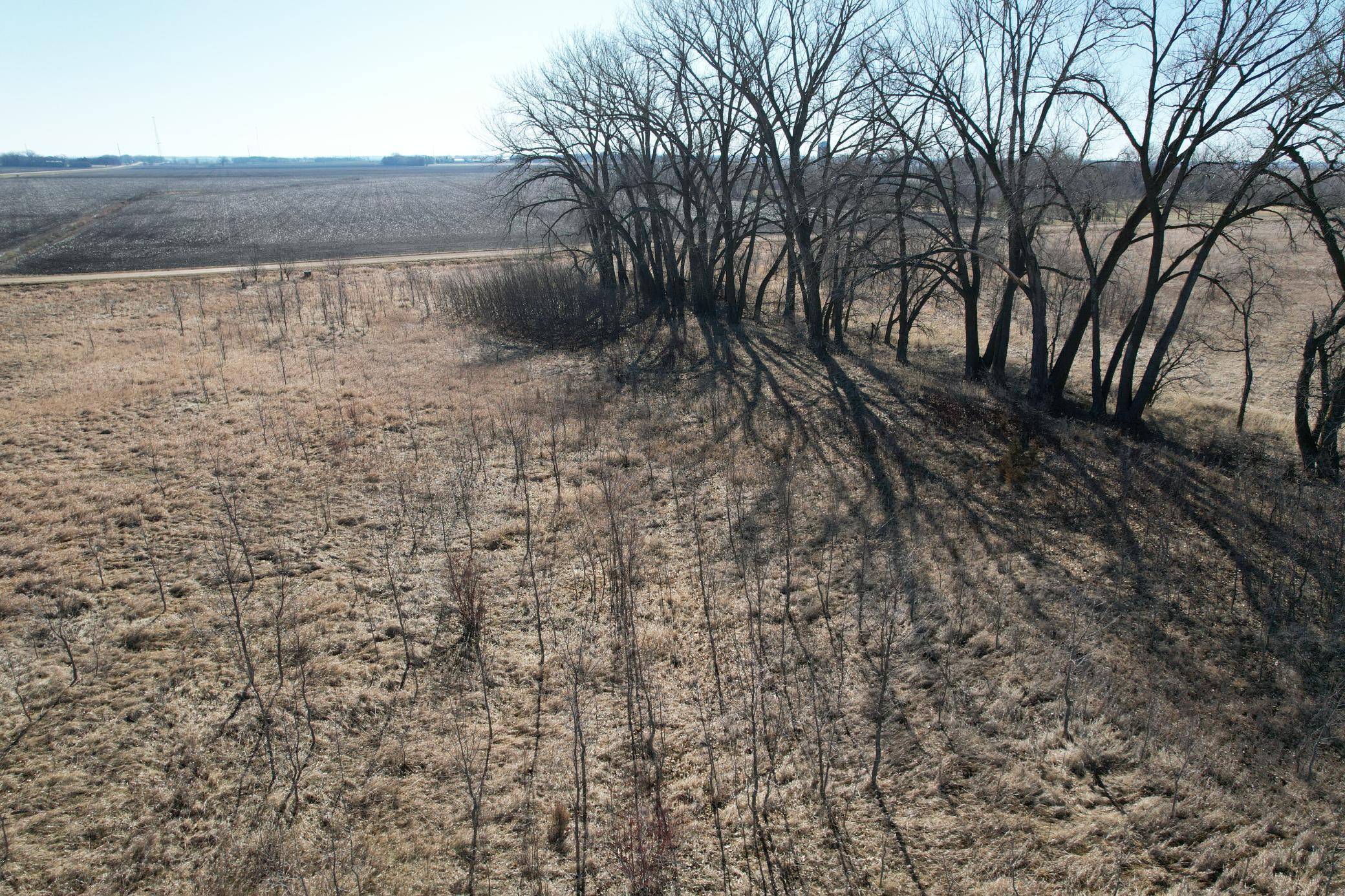 Prairie View Twp, MN 56514,TBD 110th St