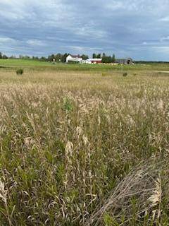 Frazee, MN 56544,TBD Co Hwy 39