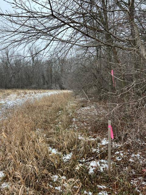 Princeton Twp, MN 55371,000 65th St Block 1 Lot 1