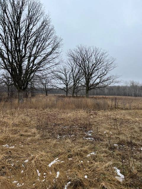 Princeton Twp, MN 55371,000 110th Ave Block 1 Lot 5