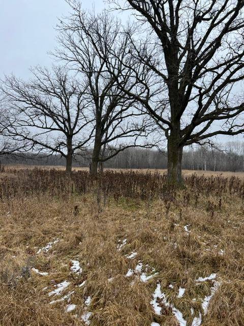 Princeton Twp, MN 55371,000 110th Ave Block 1 Lot 5