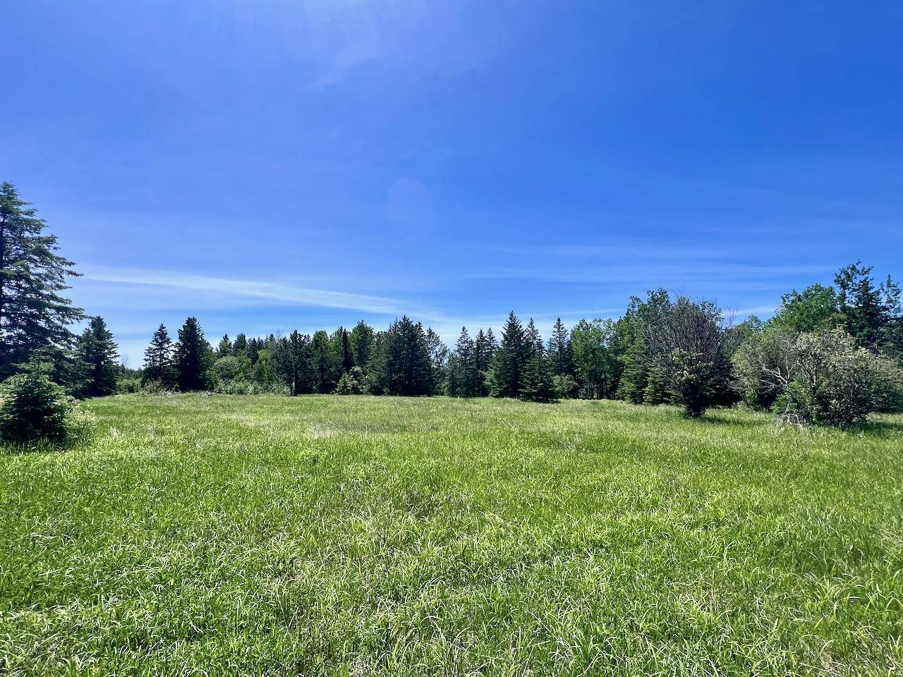 Cook, MN 55723,TBD Gopher DR