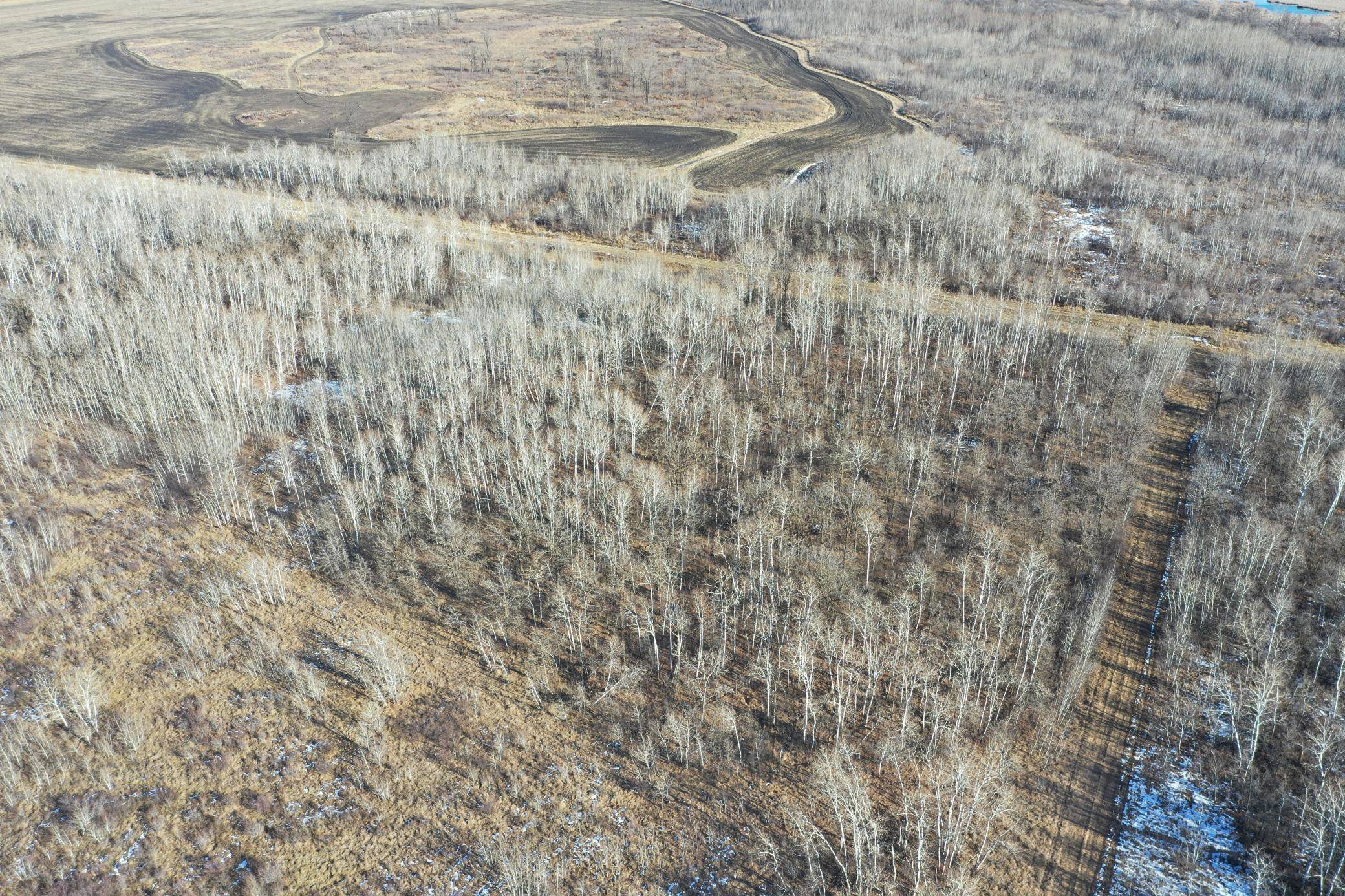 Arveson Twp, MN 56732,TBD County Rd 7