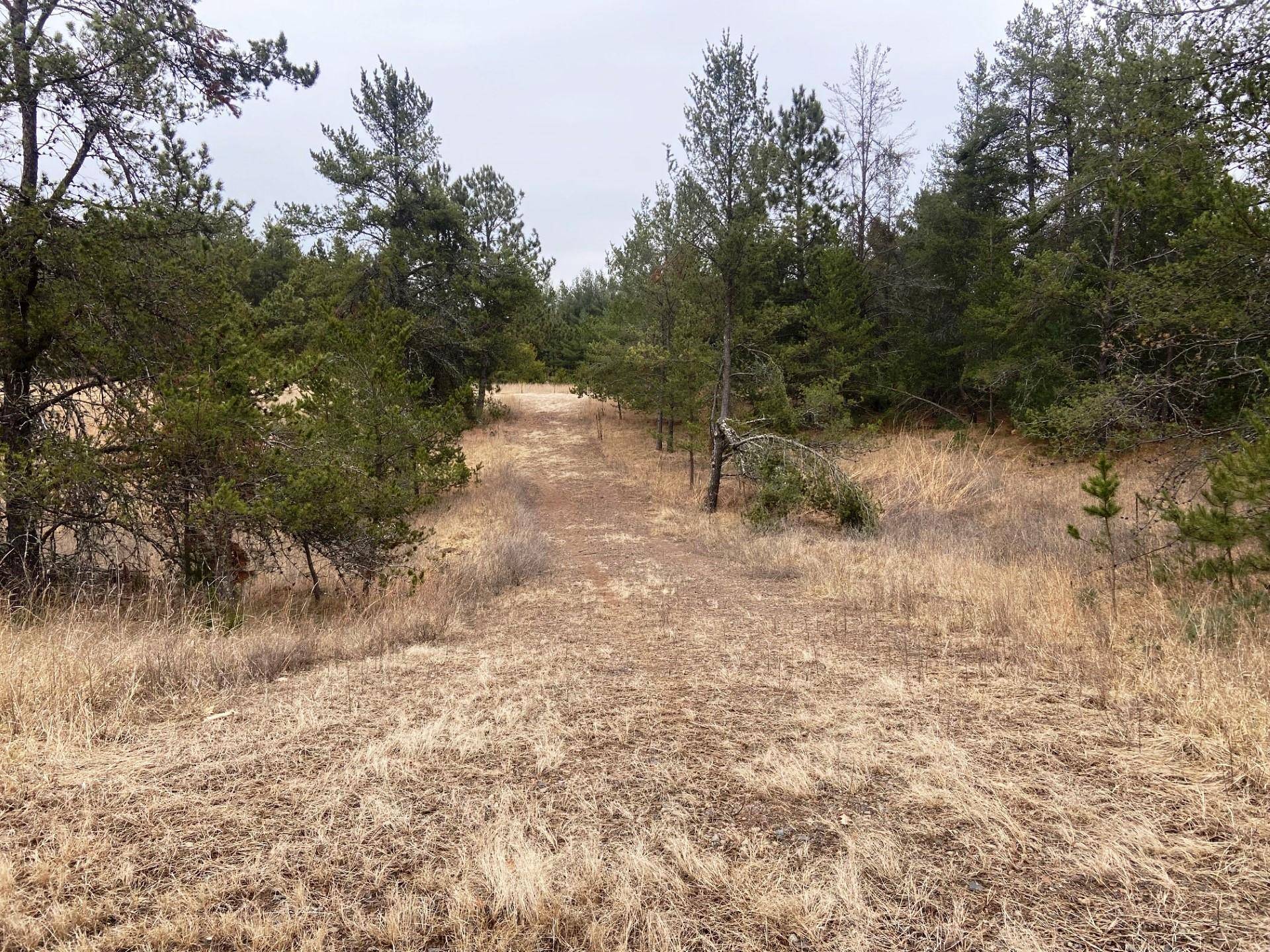 Danbury, WI 54830,Lot 35 & 36 Overland Circle