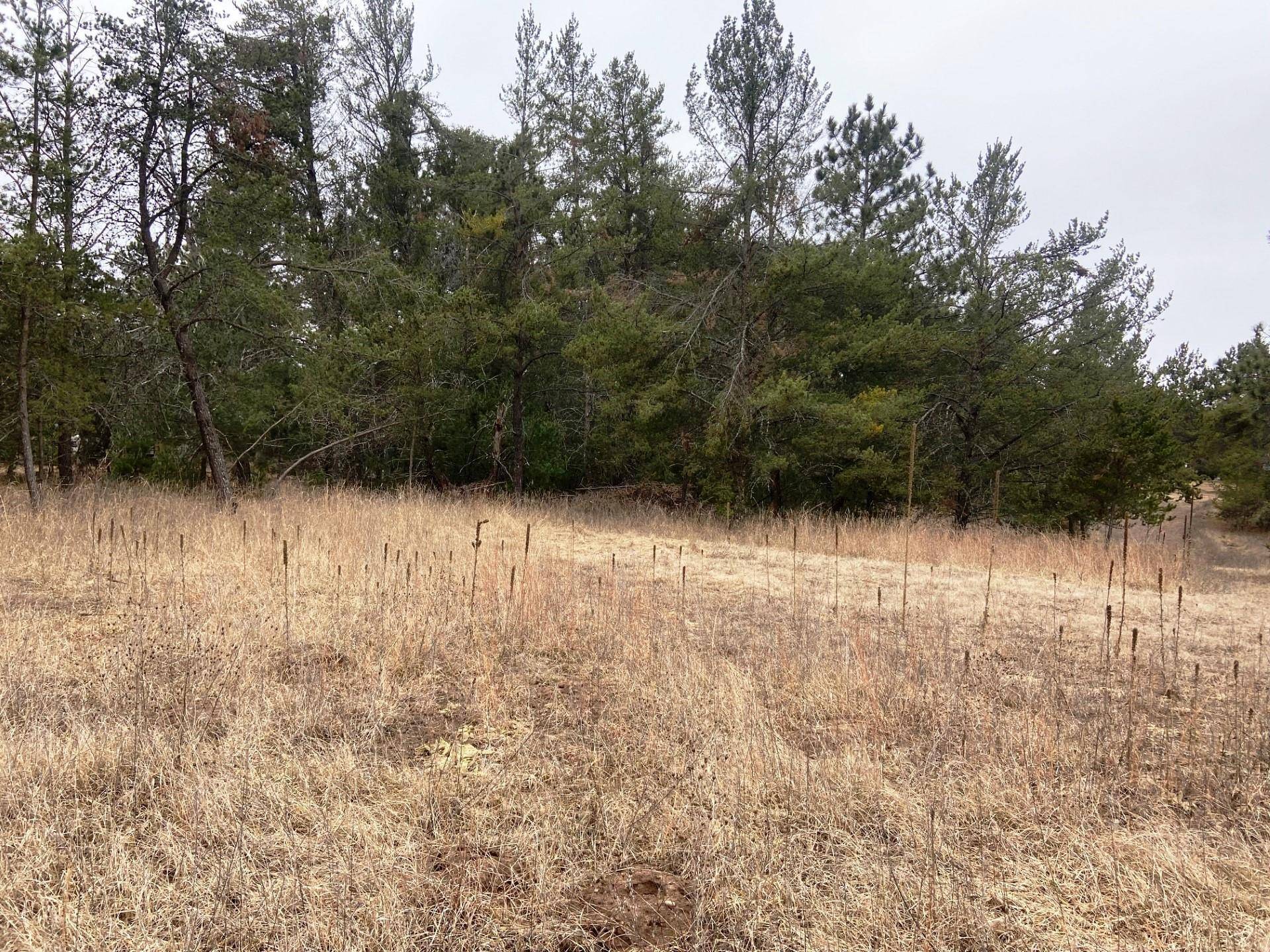 Danbury, WI 54830,Lot 35 & 36 Overland Circle