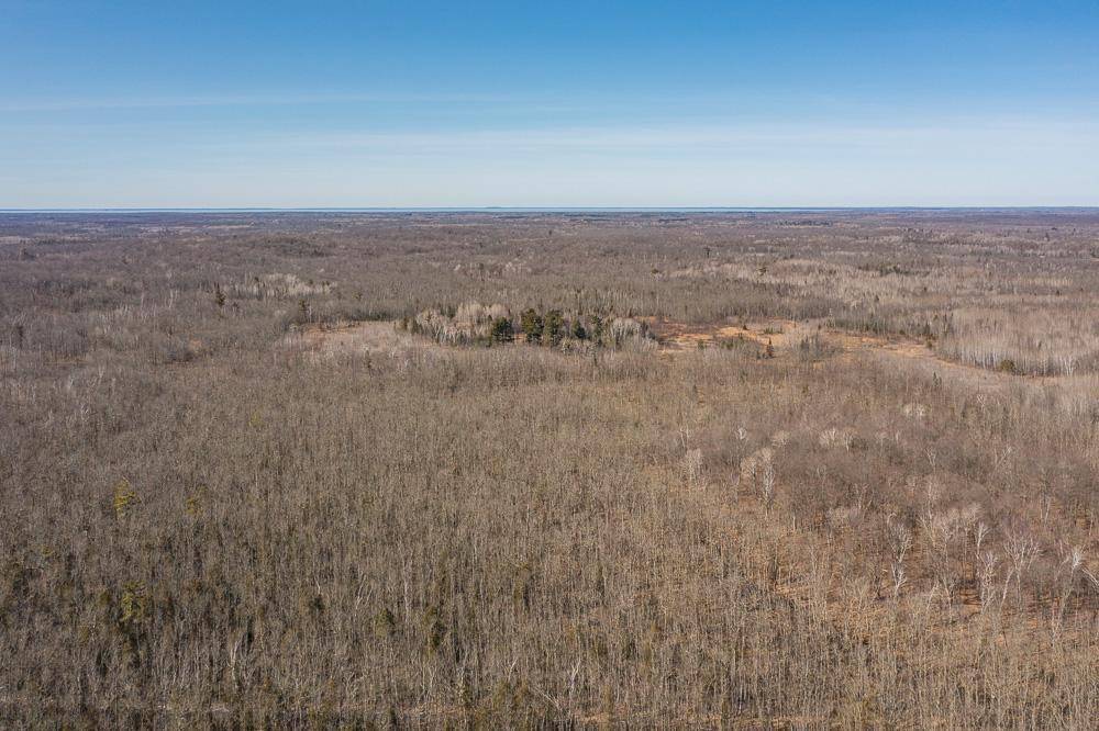 Seavey Twp, MN 56342,TBD 250th PL