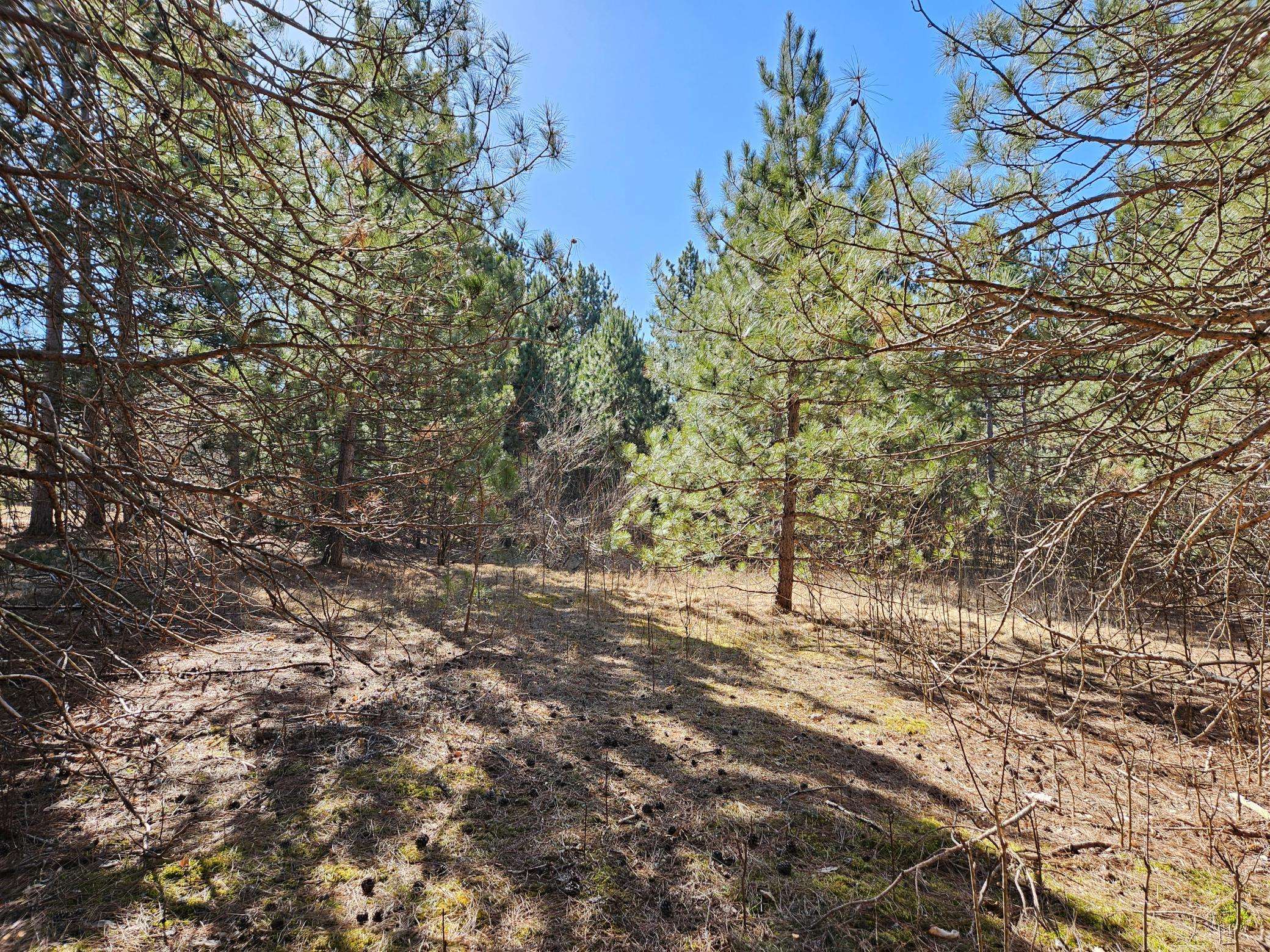 Bashaw Twp, WI 54801,905 Scott DR