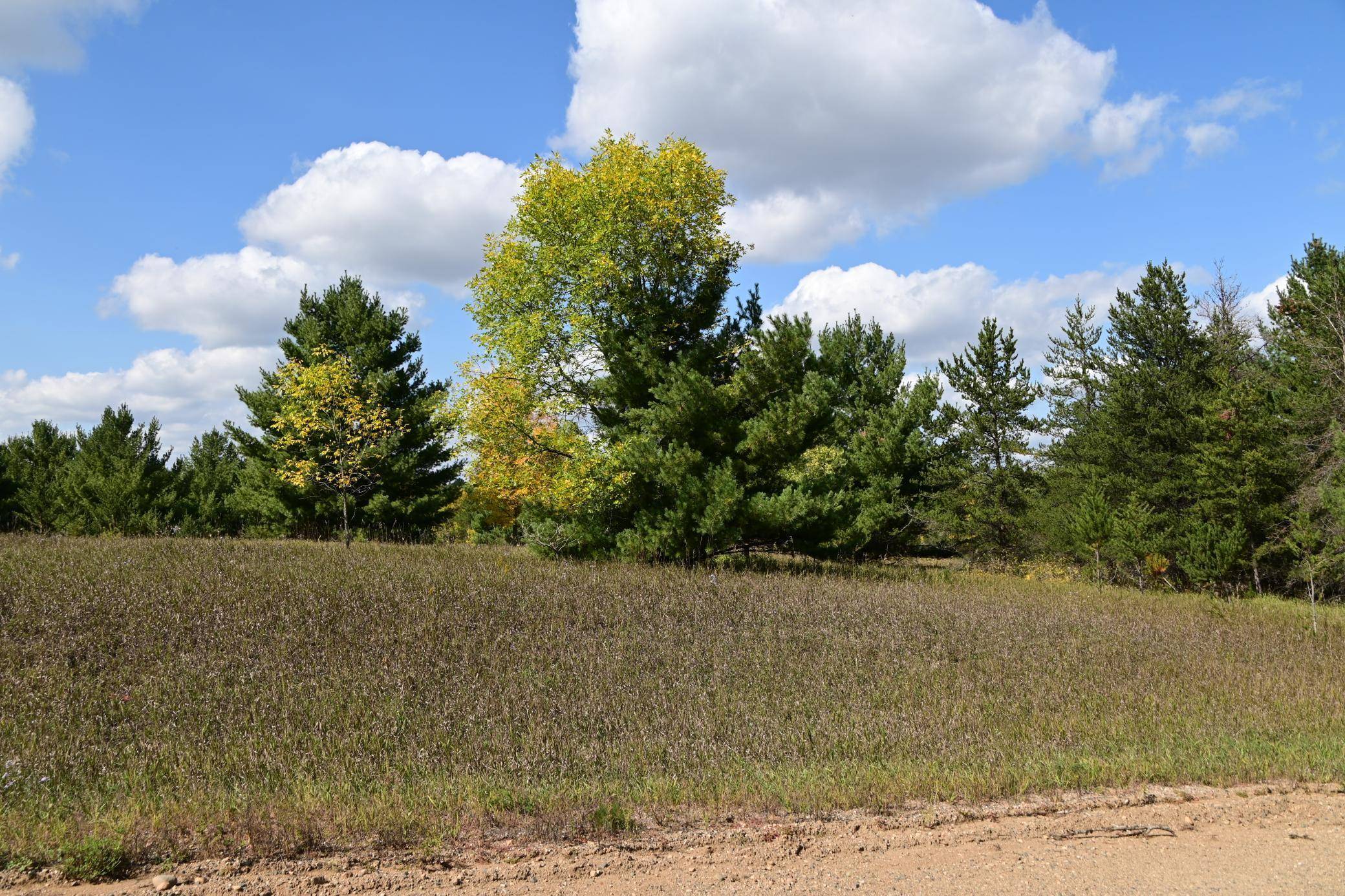 Moran Twp, MN 56438,Lot 1 Block 8 Oak Drive