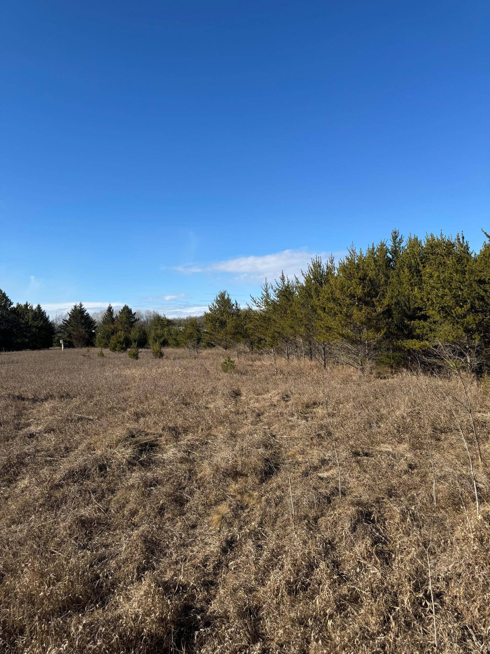 Darling Twp, MN 56345,XXX 180th ST