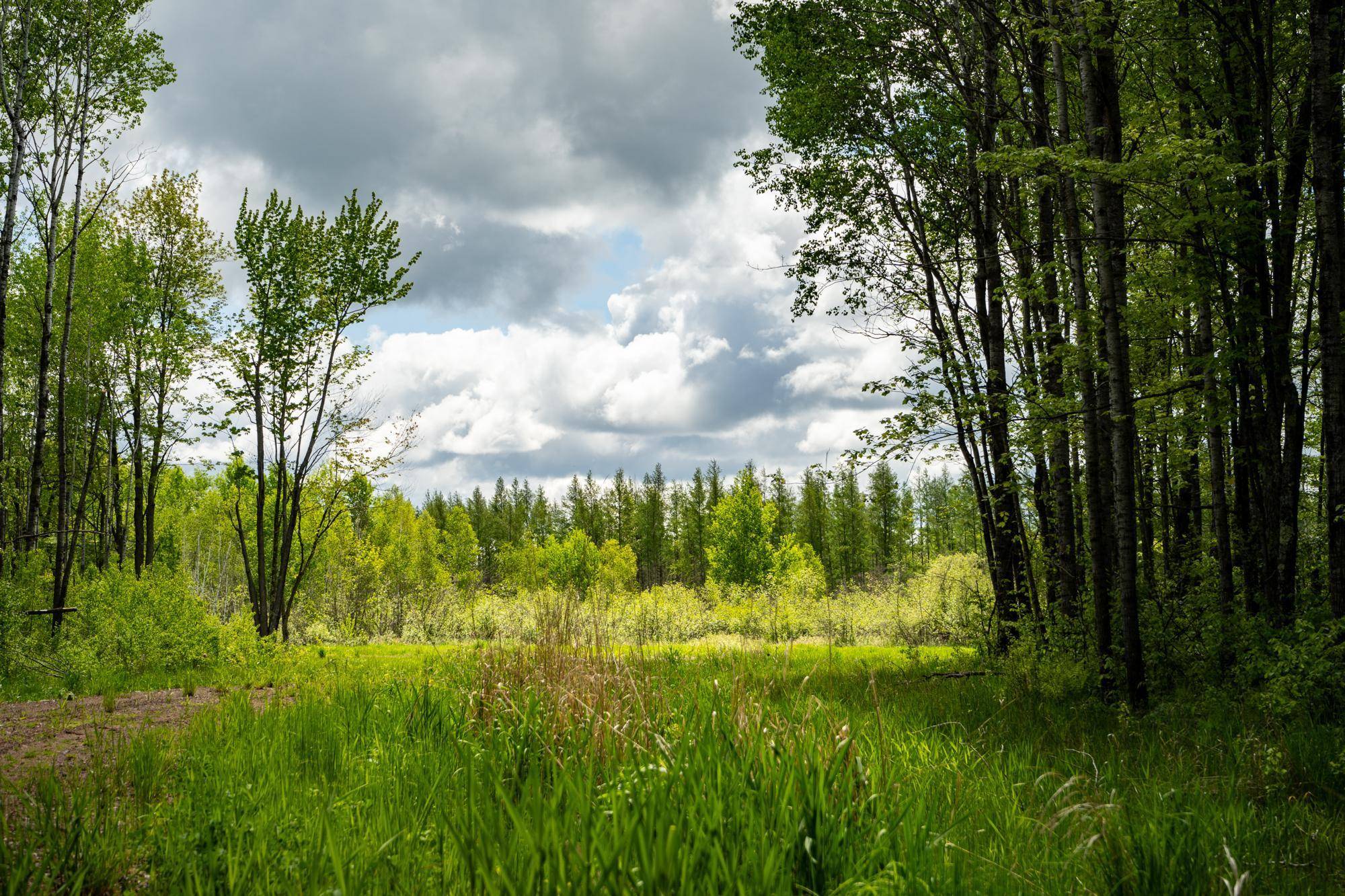 Kettle River, MN 55757,4809 Walczak RD