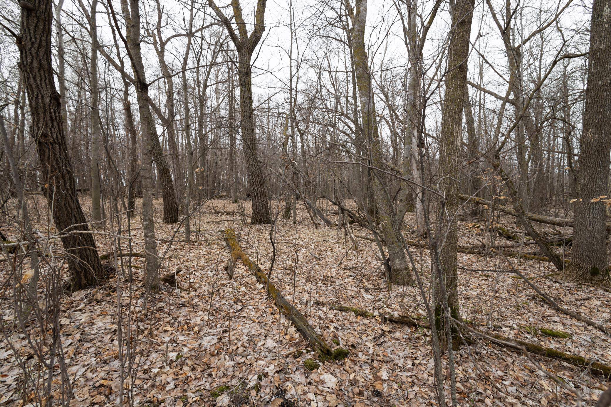 Lake Park, MN 56554,Lot 3 Saylers Beach RD
