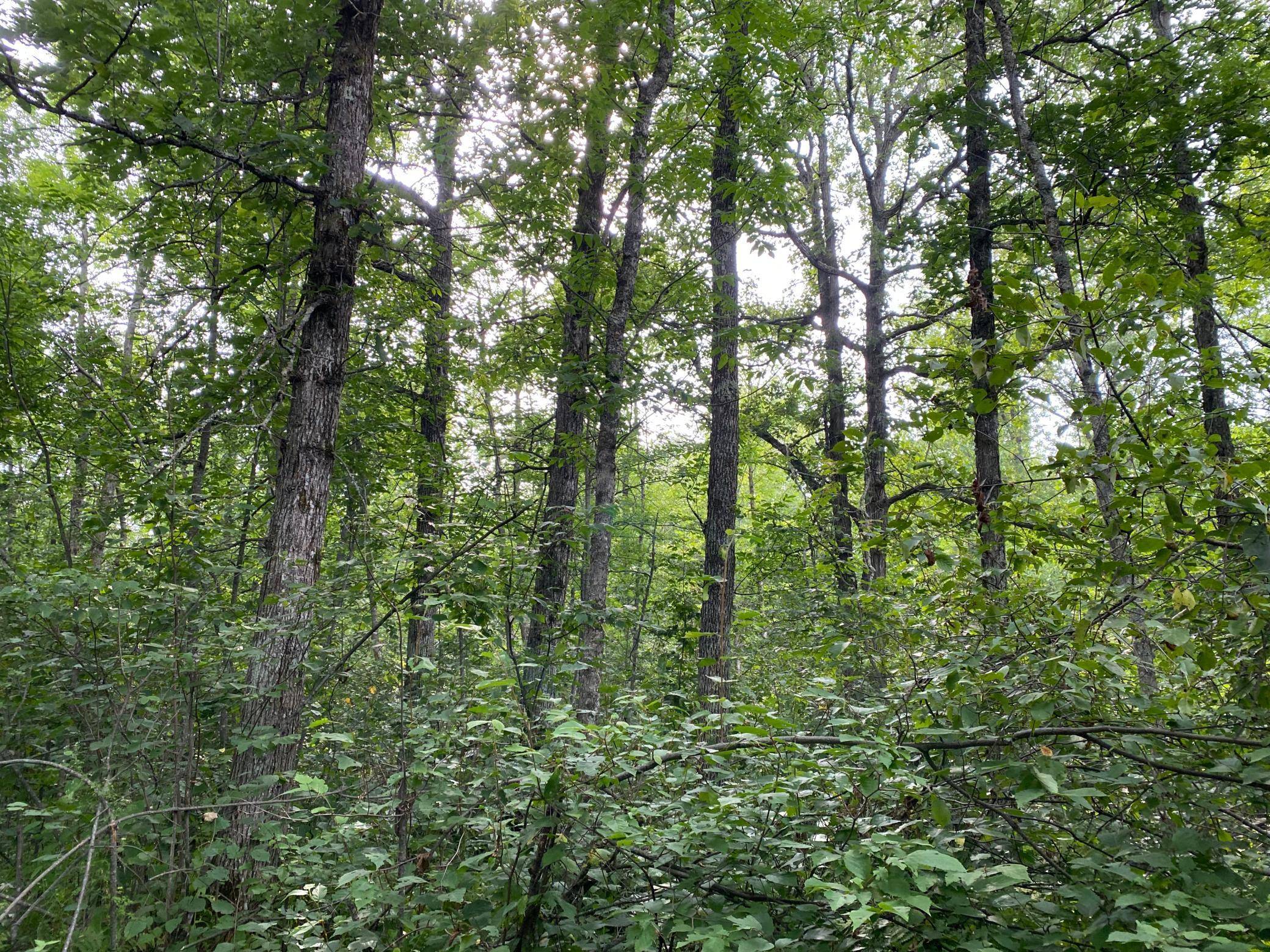 Split Rock Twp, MN 55783,4750 Split Rock RD