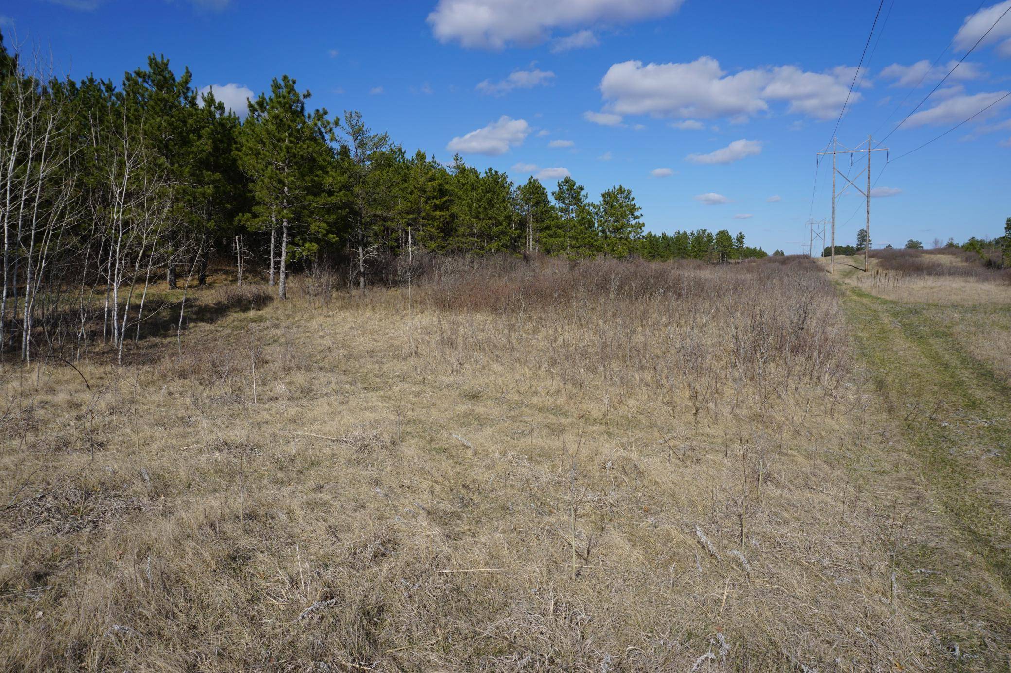 Straight River Twp, MN 56464,TBD 110th ST