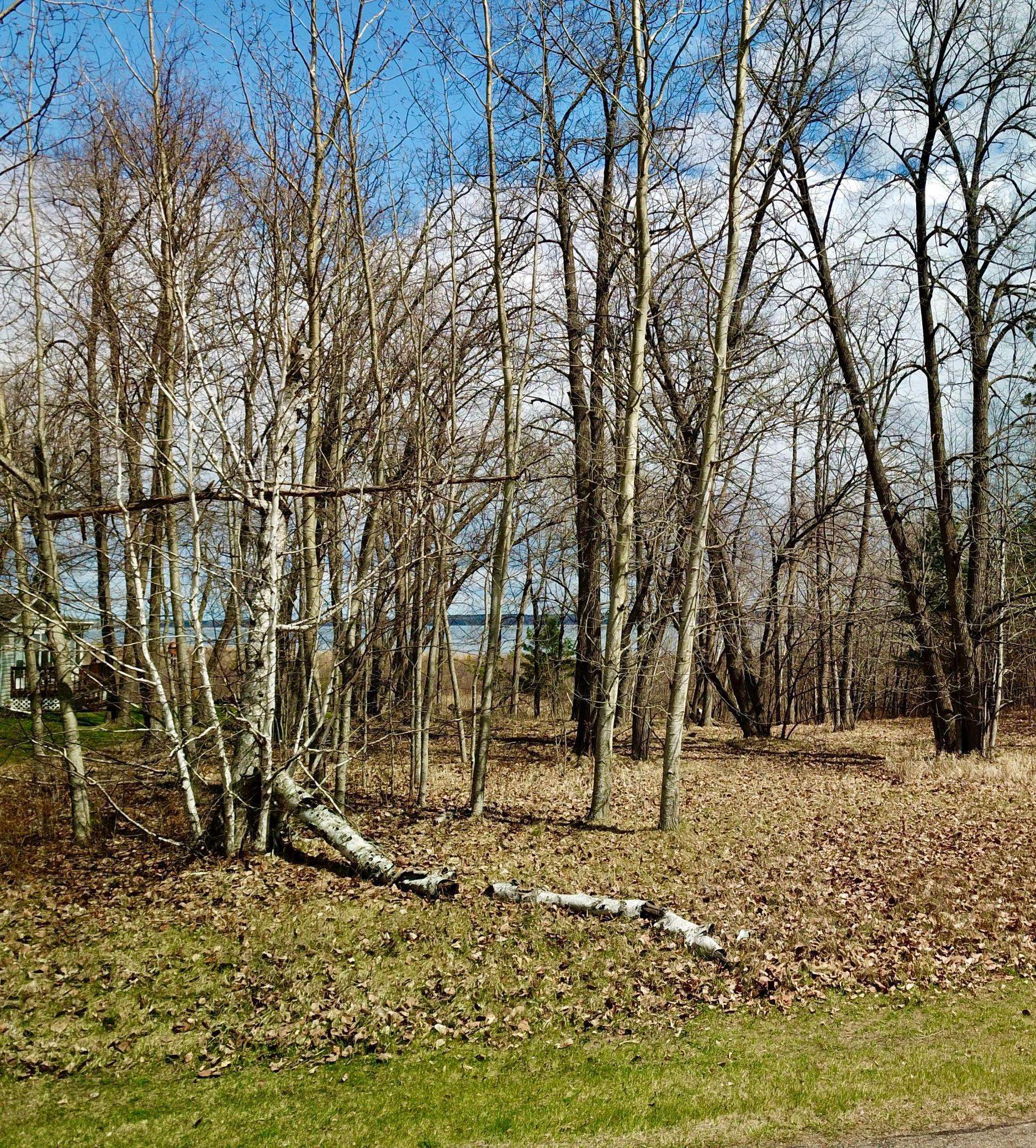 Walker, MN 56484,Lot 6, Blk 1 Cove View