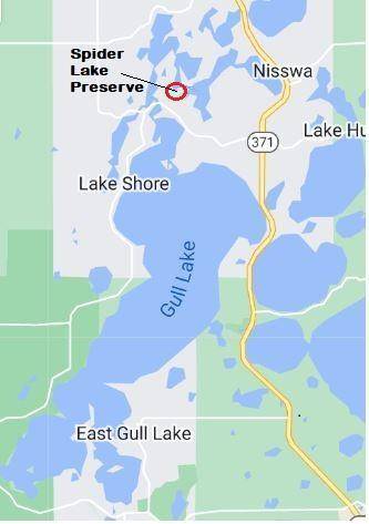 Lake Shore, MN 56468,8038 Lost Lake Road #310