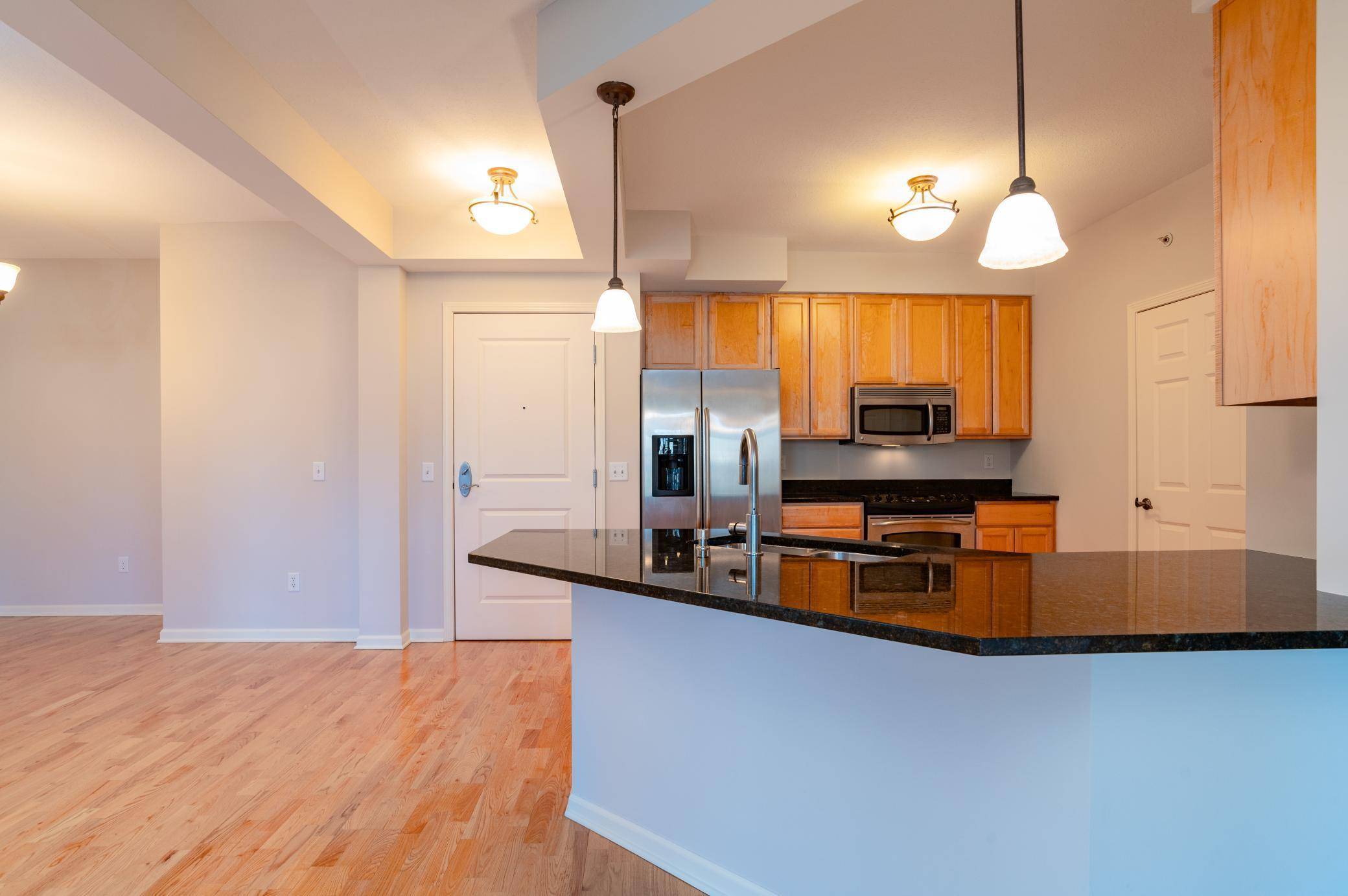 Mendota Heights, MN 55118,1320 Riverside LN #101